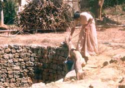 A Sister drawing water from a well which the Sisters built for their mission in Gadhalodhma